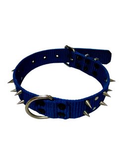 Collar