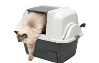 Catit